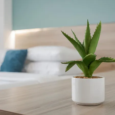 Διαμέρισμα Sette & - Adults Only *