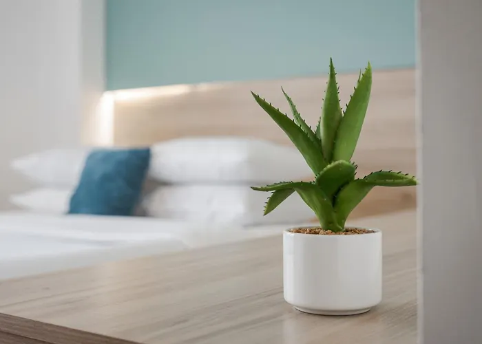 Lejlighed Sette & - Adults Only *